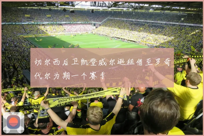 切尔西后卫凯登威尔逊租借至罗奇代尔为期一个赛季